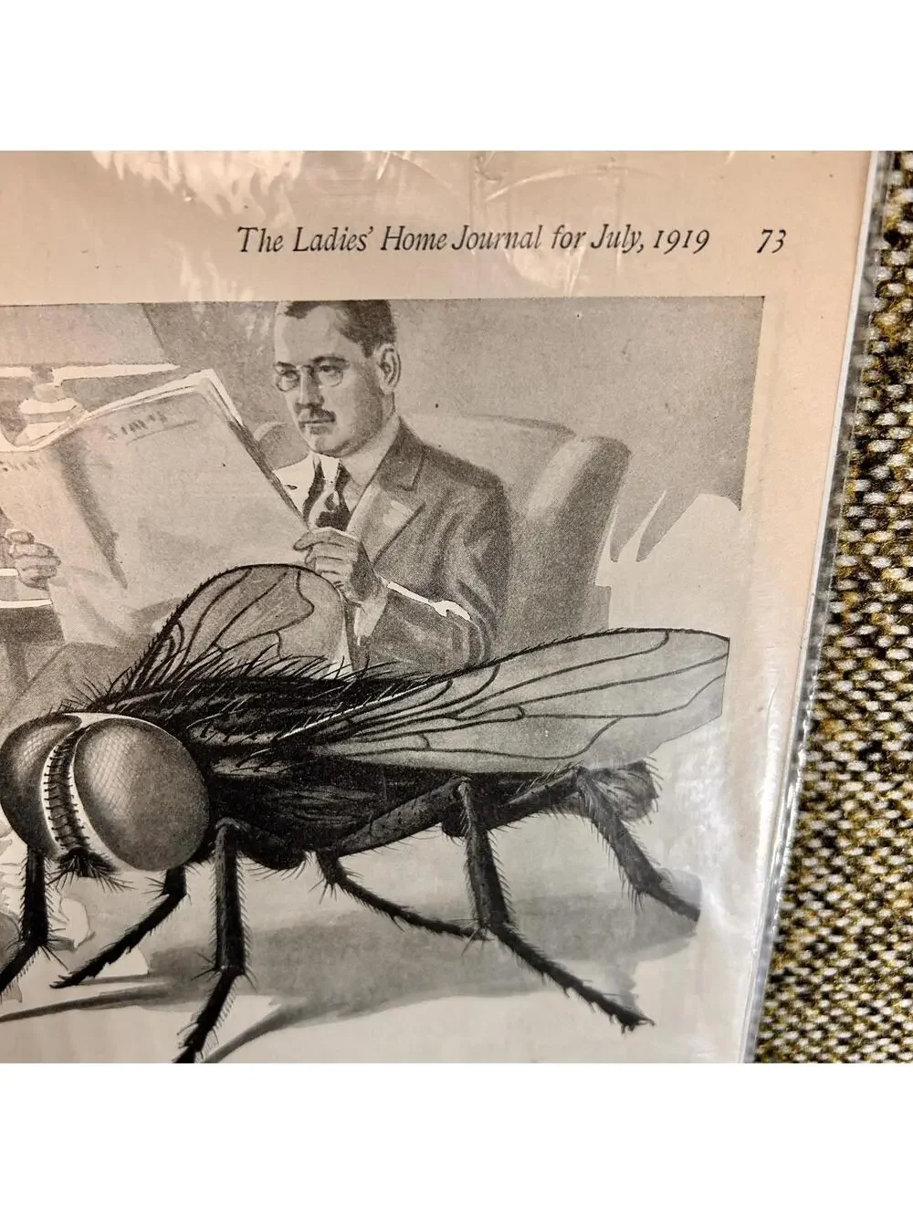 Vintage 1919 Lysol Disinfectant Ad‎ Ladies Home Journal Deadly Fly Art